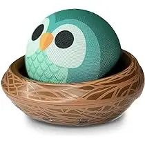 Echo Dot Kids (Newest gen)