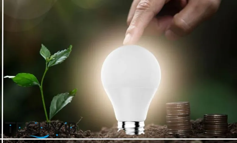 best budget smart bulbs