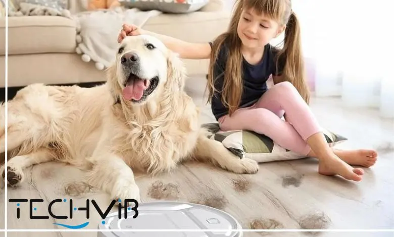 best robot vacuum cleaner for pet hair
