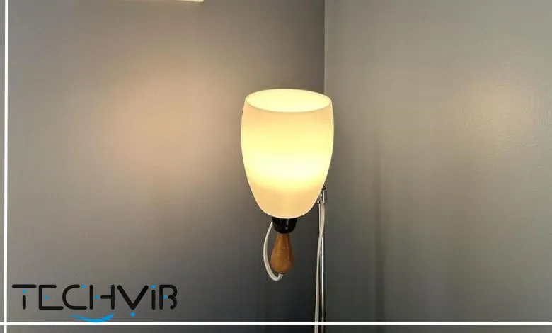Govee LED light bulb