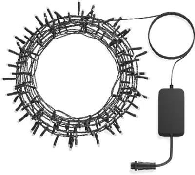 Philips Hue Indoor/Outdoor 65-Foot Festavia String Lights