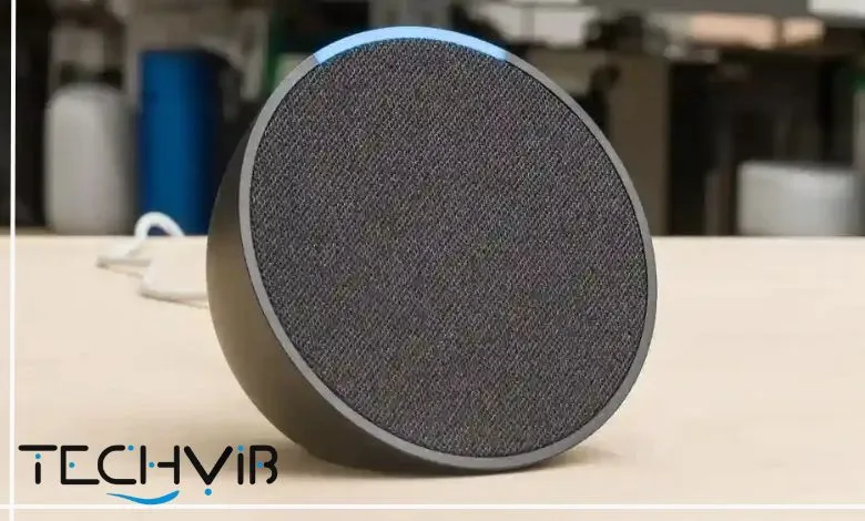 Echo Pop (Newest generation)